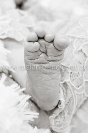 Babyfotograf - Melanie Melcher-17