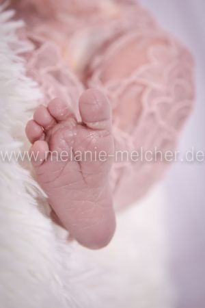 Babyfotograf - Melanie Melcher-37