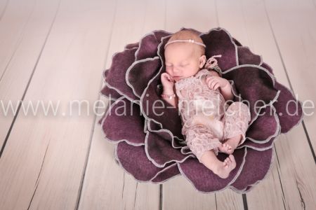 Babyfotograf - Melanie Melcher-71