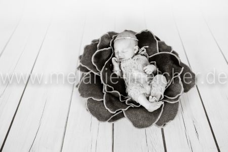 Babyfotograf - Melanie Melcher-72