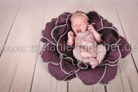 Babyfotograf - Melanie Melcher-74