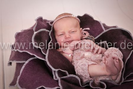 Babyfotograf - Melanie Melcher-77
