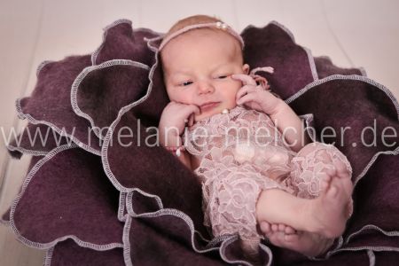 Babyfotograf - Melanie Melcher-79