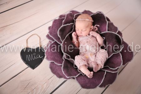 Babyfotograf - Melanie Melcher-85