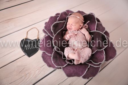Babyfotograf - Melanie Melcher-86