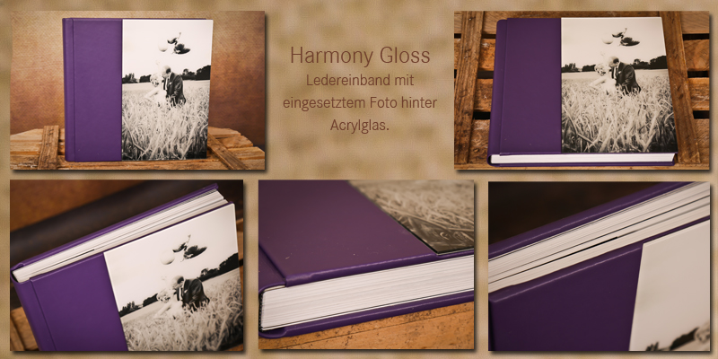 Harmony Gloss